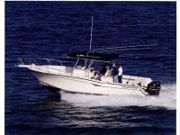 Grady White 306 Bimini Cc