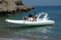 Stingher 686 Xs