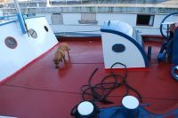 Grol Veendam 20M