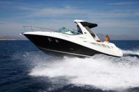 Searay 335