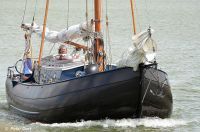 Staverse Jol Unieke Staverse Jol