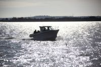 Ocqueteau Timonier 625 Inbord