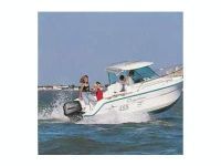 Ocqueteau Timonier 4.85