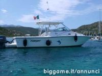 Pursuit 2650 Express