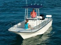Boston Whaler 210