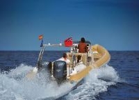Cobra Ribs Nautique 9.6M