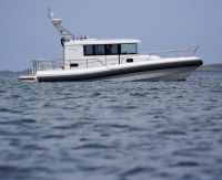 Paragon Yacht 31