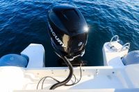 Black Fin Elegance 8