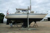 Peter Cole Bounty 35