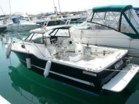 Bayliner 4.2 V6