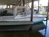 Carolina Classic (Outstanding Condition!)