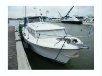 Amerglass Amerglass 32