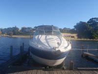 Maxum 35 Suit Bayliner Mustang