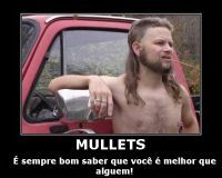 Mullet 22'