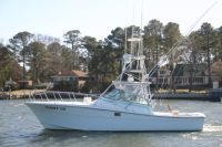 Topaz (Diesel Power! 400 Hours!)