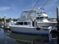 Custom Flybridge Cruiser