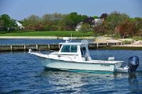 Steiger 23' Dv Miami