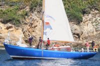 Dervin Cotre Bermudien