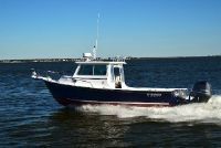 Steiger 25' Dv Miami