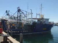 22.5M Prawn Trawler &Amp; Shark Bay Prawn Licences
