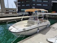 Quicksilver 535 Activ Open