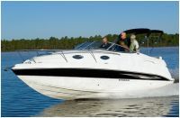 Stingray Cuddy Cabin