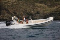 Black Fin Elegance 25