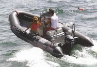Narwhal 580