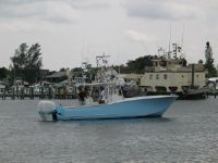 Bonadeo 34 Walkaround