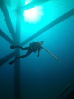 Charter Fishing/Diving