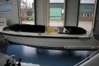 Antaris Connery Met 52 Pk Vetus Diesel