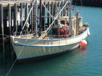 New Stuart 42 Ft Tassie Cray Boat Hull