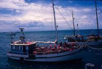 Tasmanian Cray Boat