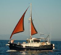 Seahorse Diesel Duck 382