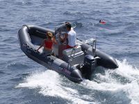 Narwhal Hd 450