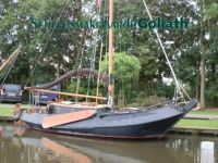 Hopefish Timonier 605