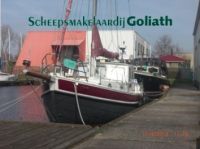 Danish Rose 31 Ms Danish Rose 31 Ms