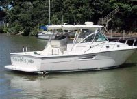 Pursuit Sportcruiser