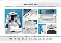 Ranieri Predator 222