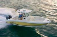 Wellcraft 25 Scarrab