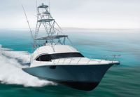 Bertram 540