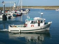 Paraveau Vedette Bois