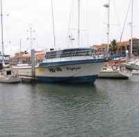 Westcoaster Longliner