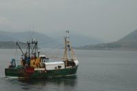 Trawler Fishing