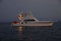 Egg Harbour 52