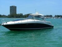 Searay 44
