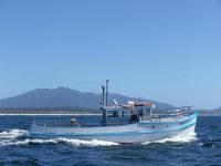 Timber Cfb Charter Fishing &Amp; Dive Vessel