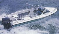 Streaker 5.02 Runabout Fisherman