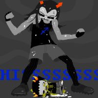 Sollux 2003