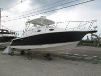 Wellcraft 290 Coastal New
